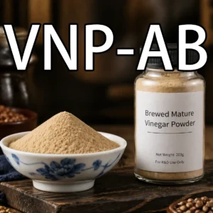 High Acidity Mature Vinegar Powder VNP-AB - 15% Acidity for Seasonings