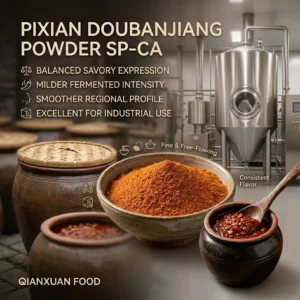 Mild Pixian doubanjiang powder with natural fermented chili bean texture in ceramic bowl