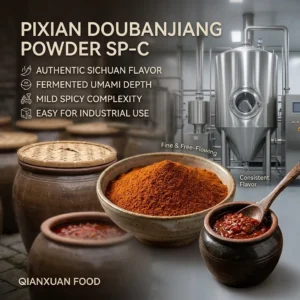 Spray dried Pixian doubanjiang powder SP-C for Sichuan savory seasoning and instant food manufacturing