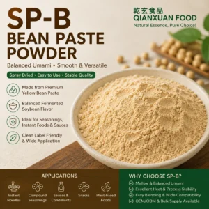 Spray dried bean paste powder SP-B for savory seasoning and instant food applications