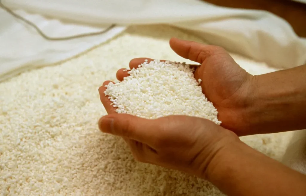 Fermented food culture behind Asian seasoning powder ingredients