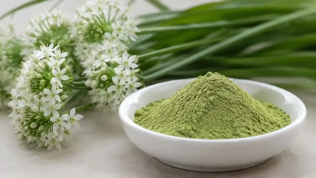 Premium Chive Flower Powder: Clean-Label Herbaceous Seasoning for Instant Foods & Savory Formulations 2 Chinese chive flower botanical ingredient concept with light green Chive Flower Powder for seasoning soup base and custom formulation