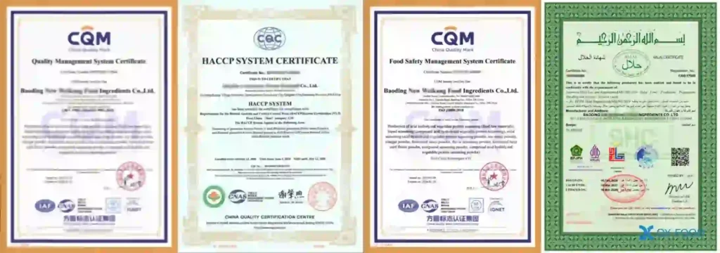 halal-certified-chicken-seasoning-factory-quality-control Halal certified chicken seasoning powder industrial production line quality control under ISO 22000 and HACCP regulatory compliance