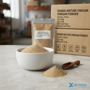 VNP-H08 Aged Vinegar Powder brings Shanxi mature vinegar flavor, rounded acidity and dry-blending convenience for instant seasoning packets and sauce packets