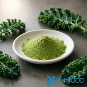 Kale powder KP-W43 bright fresh green fine powder in white ceramic sample dish on dark surface with fresh kale leaves scattered nearby